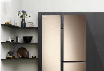  90��������ʳʢ�� ����TCL502��T�����ű���