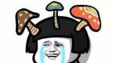 ٩磺Ϊ塢»ع ˭Ĳˣ