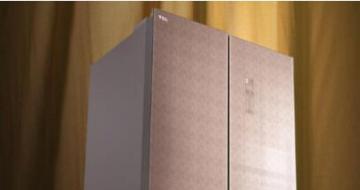 TCL490ʮֶԿű ʳɺı