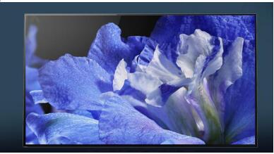 Ҫľ 65Ӣ4K HDR OLED ӵָ