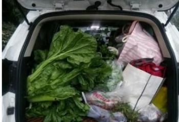 ���������� ѡ��һ̨400������ʮ�ֶԿ��ű���