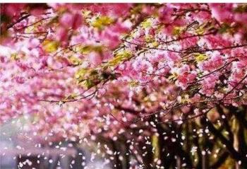 �����ʹ�������  �������Ů�ı���