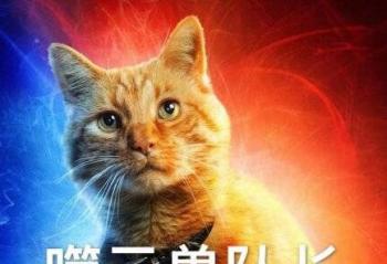 ٩�磺����Ϥ��ζ�� OPPO����ȫ��Renoϵ��