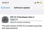 今日苹果推送iOS 12.3开发版Beta 2,新增AirPods 识别功能!