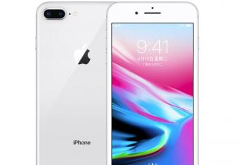 �����߹�Ѫͳ��ƻ��IN��������