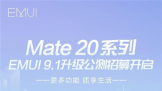  ΪMate 20 ϵΪⱨûEMUI9.1汾