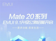 华为Mate 20 系列明日为公测报名用户推送EMUI9.1版本!