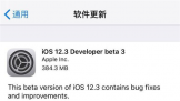 ƻiOS 12.3 beta 3԰棬ϻ򶯻ع飡