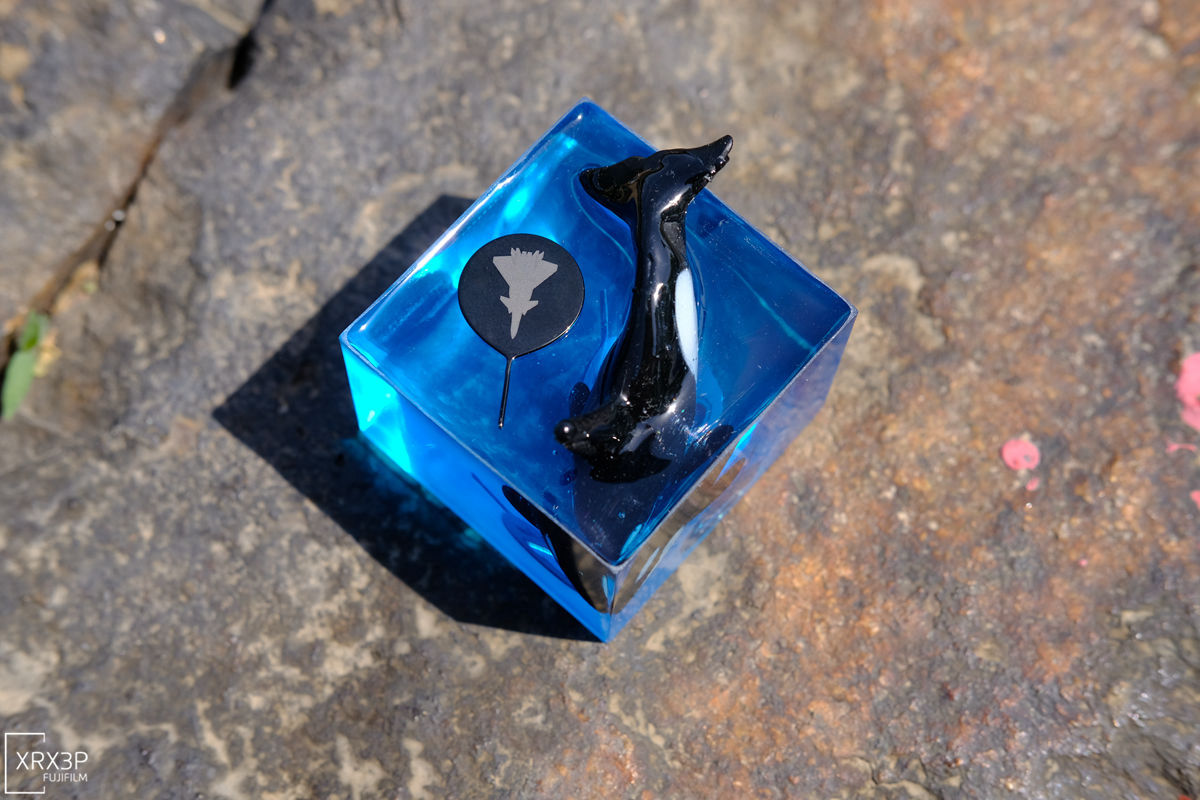 ��֪�������ֻ���ȡ����һ���ж�������~����9���ٻ�����