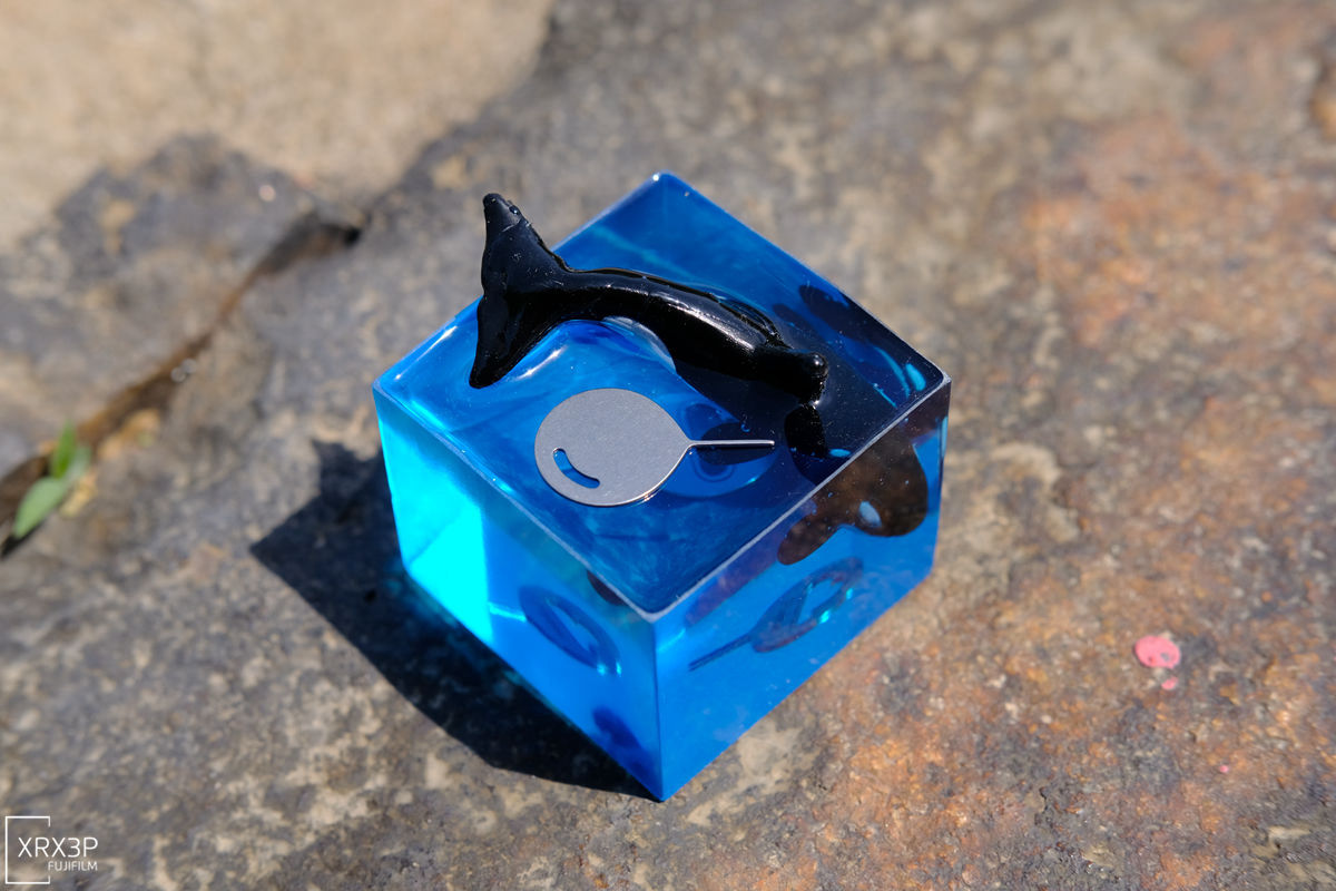 ��֪�������ֻ���ȡ����һ���ж�������~����9���ٻ�����