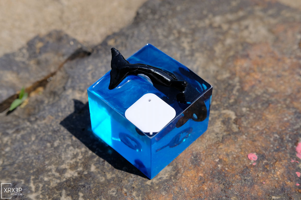 ��֪�������ֻ���ȡ����һ���ж�������~����9���ٻ�����