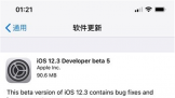 ƻiOS 12.3԰,޸ȶԣ