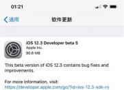 苹果今日推送iOS 12.3第五个测试版,修复错误改善稳定性!