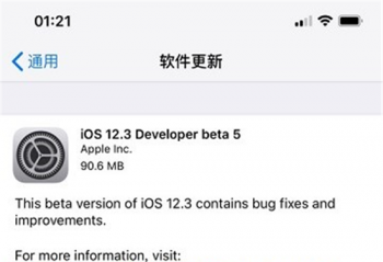 ƻ����������iOS 12.3��������԰�,�޸���������ȶ��ԣ�