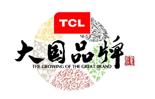 中高端用户眼中TCL冰洗：大牌 免污 极速锁鲜