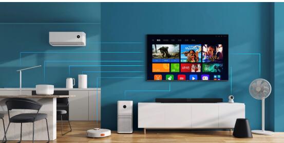 С�׵�������6���������й���һ��ֻ������������