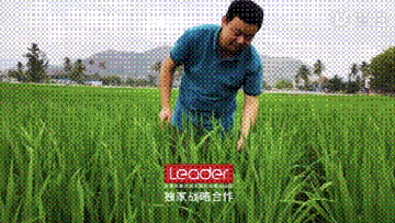 LeaderҺ» ꡷ʽ