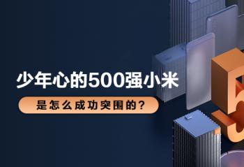 �����ĵ�500ǿС�� ����ô�ɹ�ͻΧ�ģ�