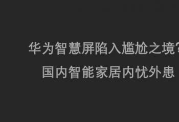 ��Ϊ�ǻ�����������֮�����������ܼҾ������⻼