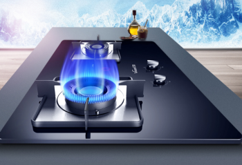 һ������  ˫��ȼ���������ζ