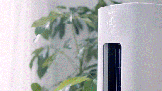 Leader 919ڣյ֪ů