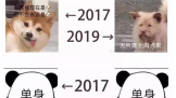 2017-2019Ⲩ㣬Ƽ 20172019귢ʲô