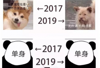 2017��-2019���Ⲩ�㣬�Ƽ������� 2017����2019�귢����ʲô