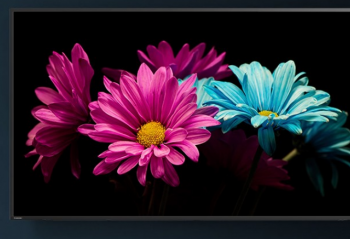 ˫12����5�۱�Ʒ 55Ӣ��4K������0�㿪�� 