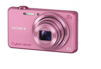 ��Ů�ı��� 2020�������˷�ɫϵ�����Ʒ ������