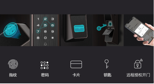 ѡһʵTCL