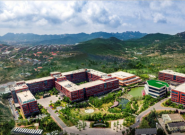 ���ż��ţ�2019����ͬ��������24%���������Ұ��ڼ���˾