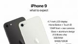٩磺iPhone 9ڱ·vivo S6ʽ