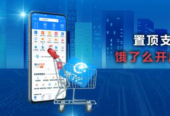 �ö�֧������ҳ������ô��������ģʽ