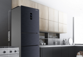 ޶��ë�Ľ���   618���д��ѡ��ĸӤ���� 