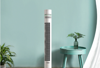 ���徲�磬�����Ҷ���ȸ�����