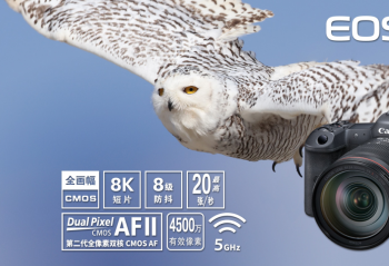 ٩�磺���ܷ���EOS R5/R6ר΢ �����ʾ�����Ա��ˡ�