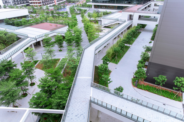 vivo����������ʽͶ��ʹ�� �������й����족Ӳʵ��