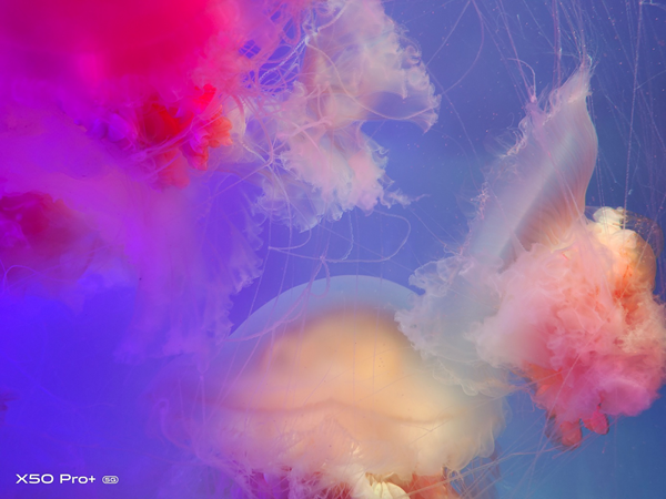 ���й�����ʵ�� vivo X50 Pro+��ˮ��ݰ�������