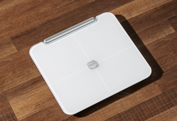 �๦�ܽ�����⣬������֬��