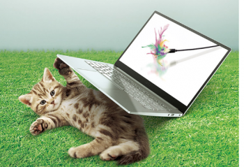 �������ᱡ�ʼǱ����ԣ���;������ݰ칫