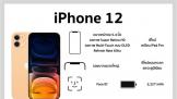 Ƽ磺iPhone12ٵǶ΢ ǵȵտ