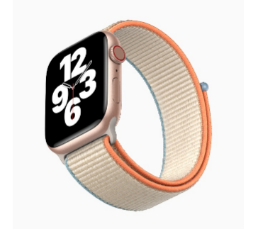 Apple Watch Series 6   Apple Watch SE 