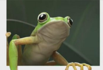 ��ҫV40  1��22��������   8+128GB��Ϊ3999Ԫ