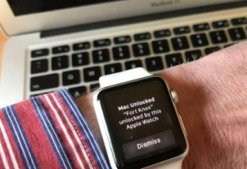 ��ô�ڽ��������  �������ϵ�Apple Watch����  