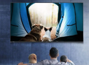 ������Ӻͼ���ͶӰ���治��һ����   ������Ӷ���ֵ��������