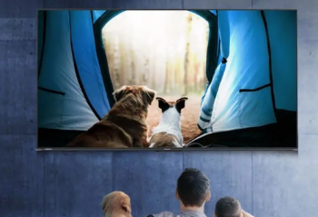 ������Ӻͼ���ͶӰ���治��һ����   ������Ӷ���ֵ��������