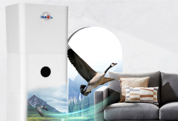 ǳ̸���������� ȫ�����ػ������������ 