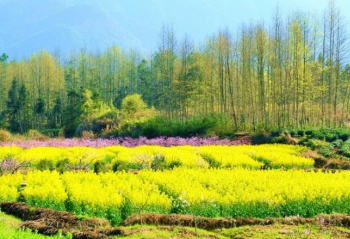 ���ⰻȻ�Ĵ��������Ķ�����    С�ҵ�Ҳ������  