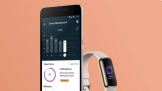Google Ƴ Fitbit Luxe ǻֻ ʱݻػ
