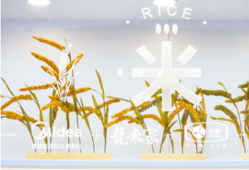 ���ǵ緹�Һ�ճ���  �׷�Ʒ�����ۼ����淶��̨ 